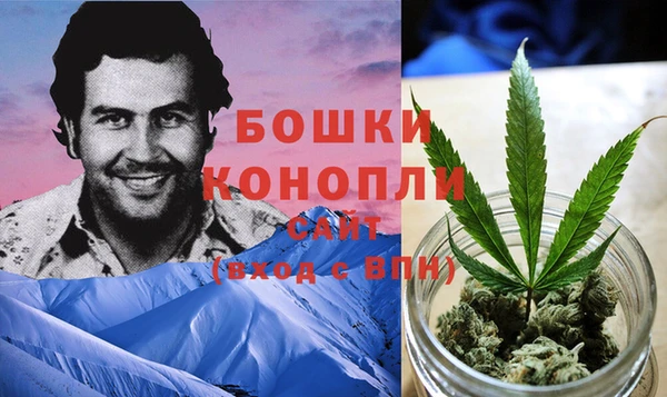 мет Богданович