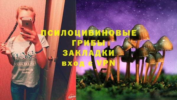 ALPHA-PVP Богородицк