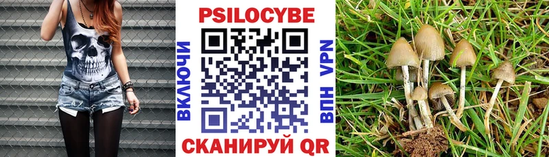 закладка  блэк спрут ссылка  Галлюциногенные грибы мицелий  Южа 